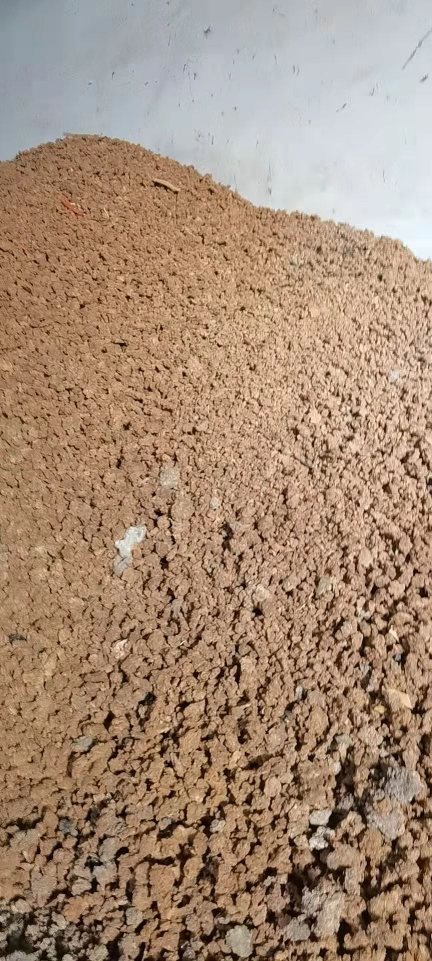 烘干腐竹渣，蛋白高，脂肪高