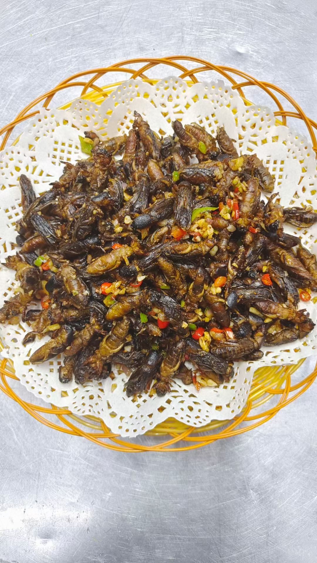 广东批发冷冻蝼蛄