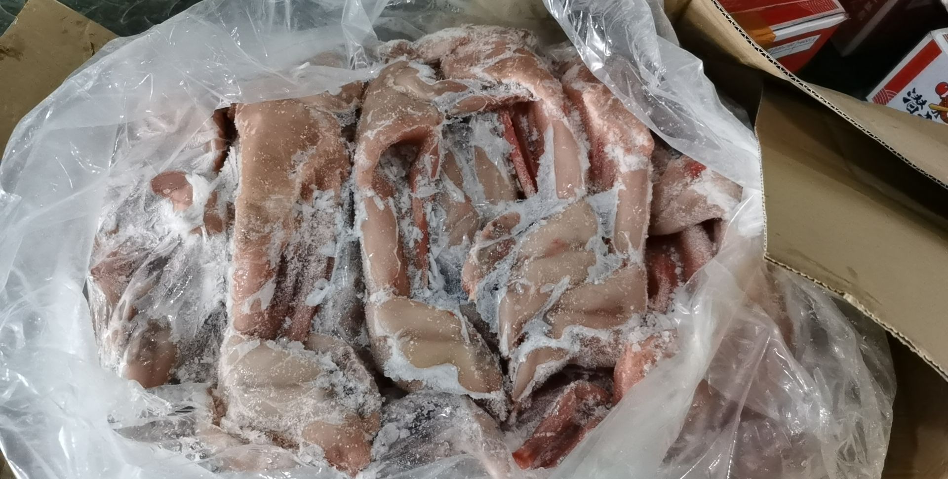 兔肉类 小板兔、整只兔 烤兔专用原料