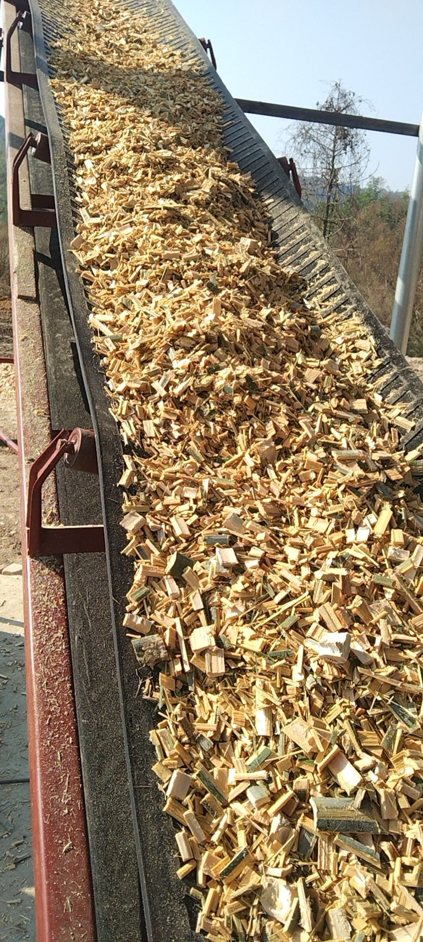 造纸竹片与柴火竹片