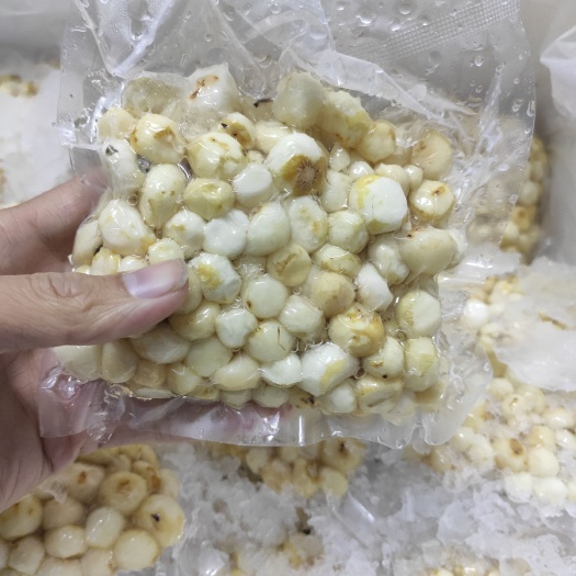 阳江珍珠马蹄