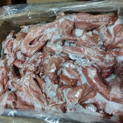 成都兔肉类 小板兔、整只兔 烤兔专用原料