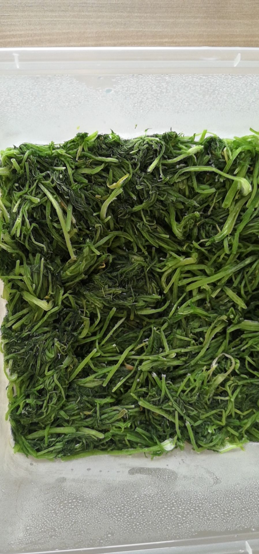 速冻蔬果  茴香 新鲜嫩茴香 速冻茴香包饺子冷冻茴香