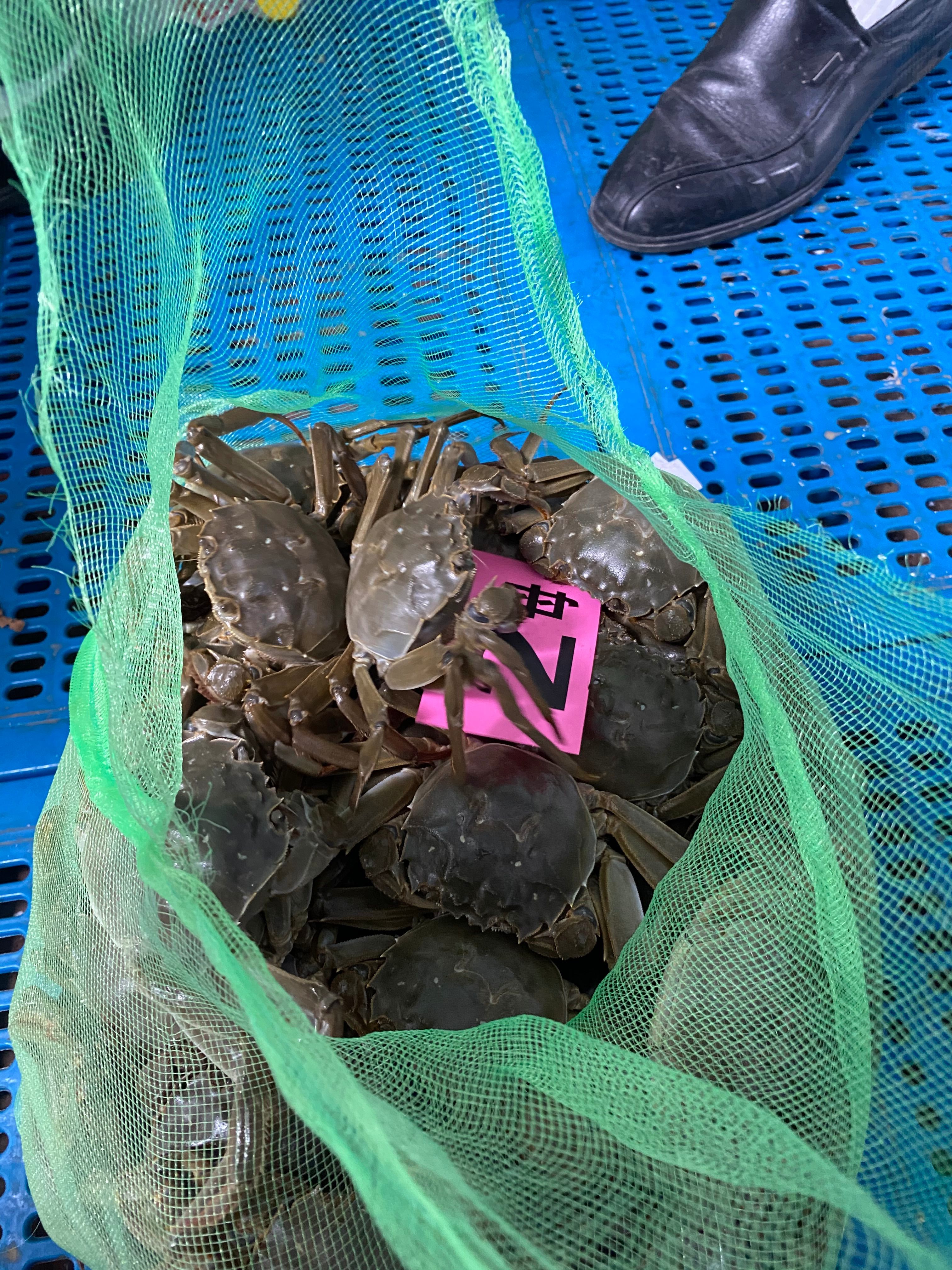 一元蟹清水小螃蟹老头蟹蟹农直发