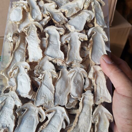 思茅赤松茸大片、人工松茸中心片，精包装