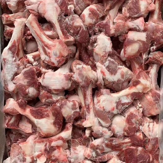 郑州多肉植物 多肉羊棒骨，吃肉，吸骨髓