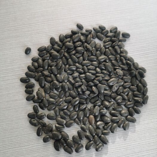 赤峰赤峰黄仁黑豆 发芽率高 精选净粮