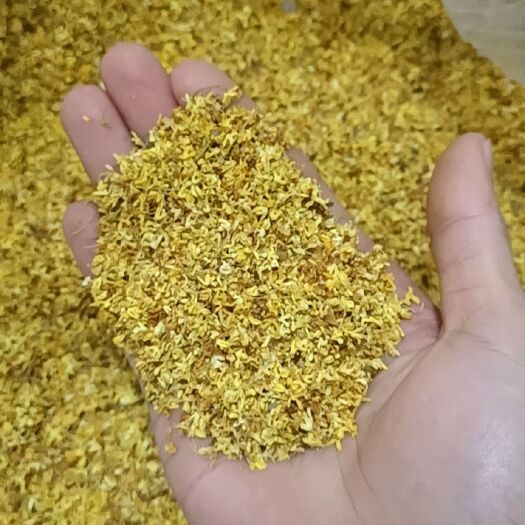 阳朔县桂花瓣