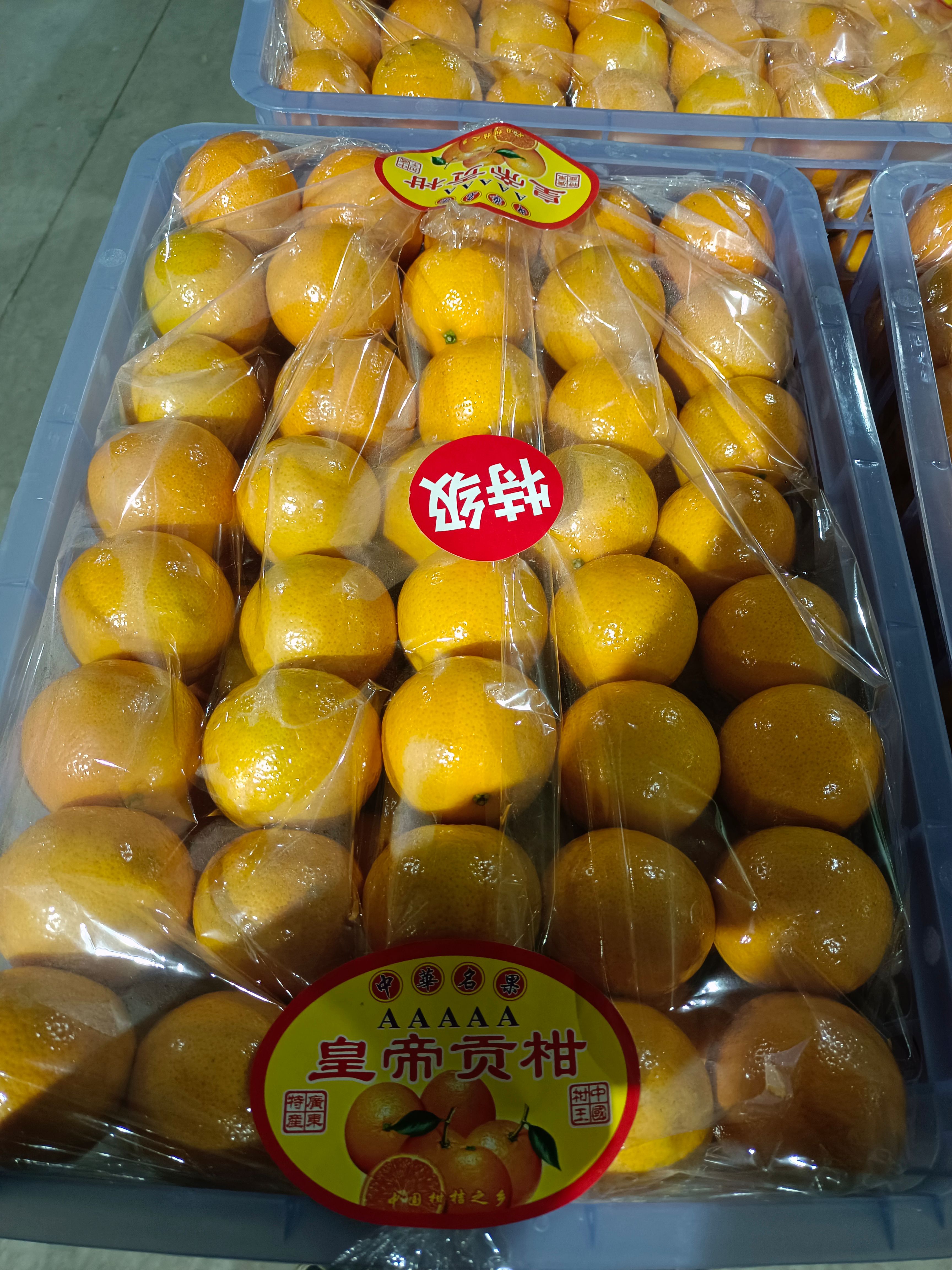 皇帝柑 贡柑 皮薄肉脆 清甜爽口 产地直供 全国批发