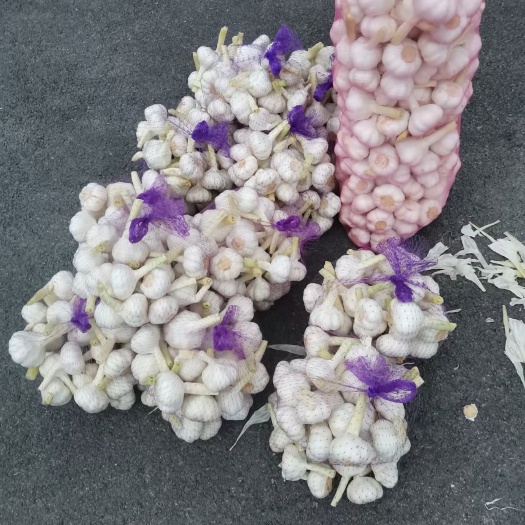 金乡县白皮蒜 鲜大蒜
