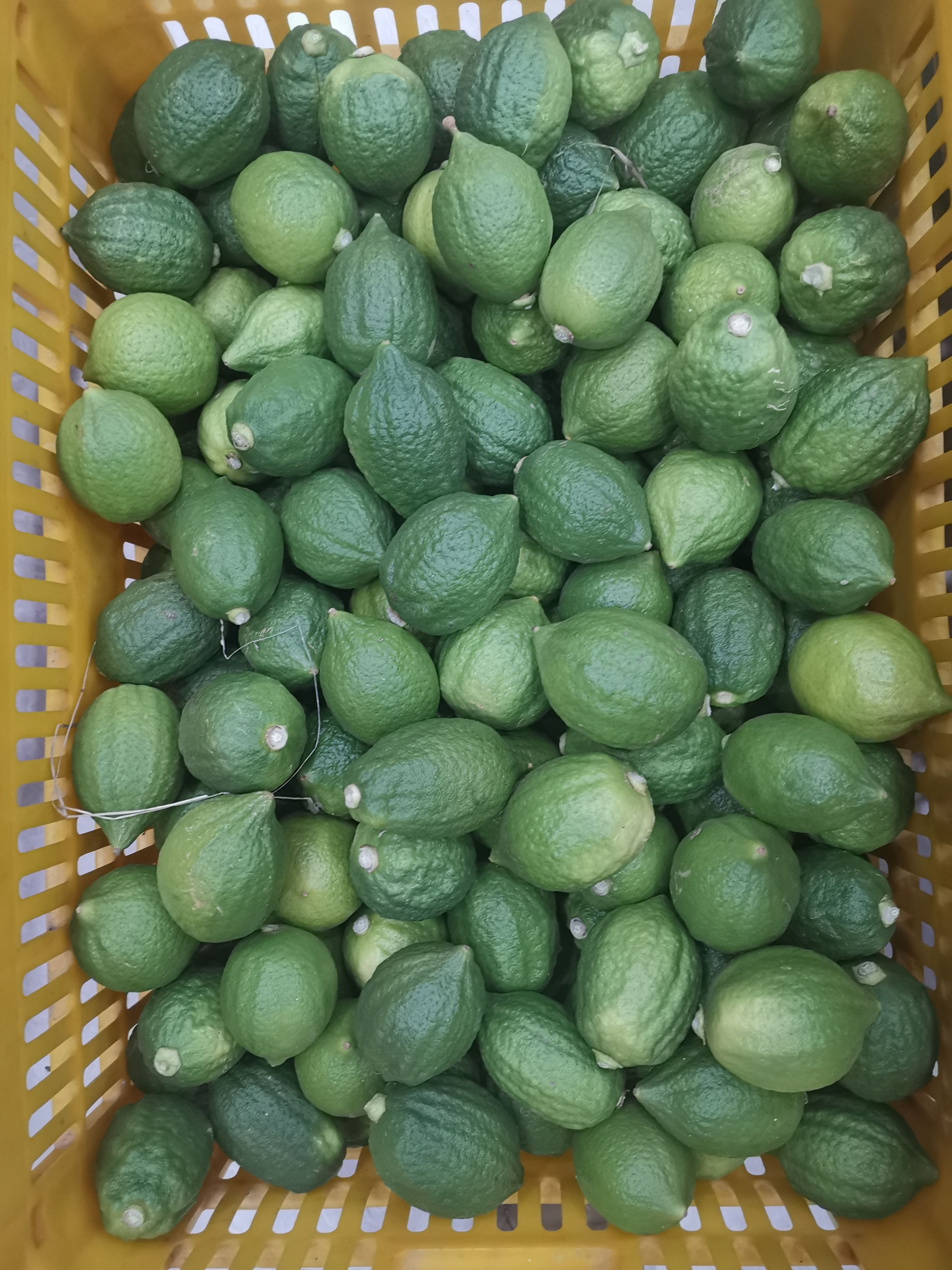 广东果园香水柠檬一级新鲜现摘鲜果柠檬茶当季奶茶商用无籽专用