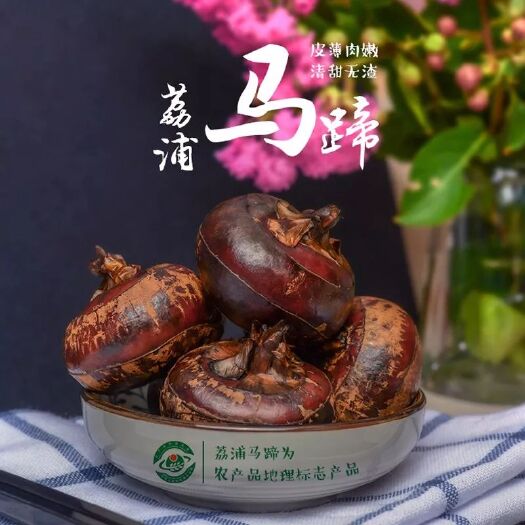 荔浦市毛马蹄 荔浦优质马蹄