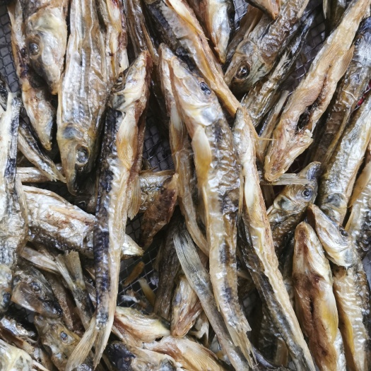 沙丁鱼干  军鱼  江西赣州非养殖干炭火烘干沙沟鱼干棍子鱼干9成干去肚无