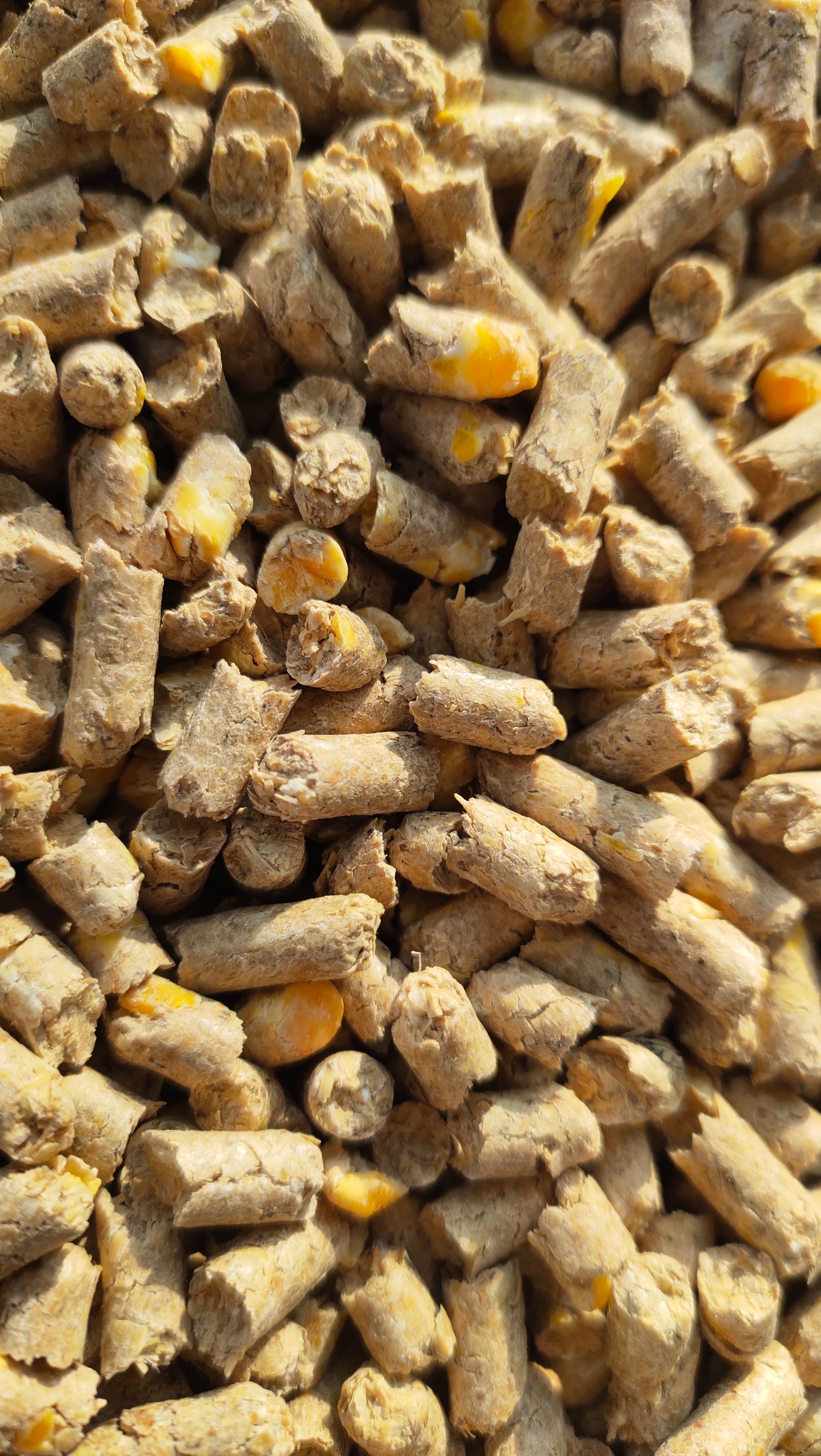 浓缩料 育肥羊全价料育肥羊全价料育肥羊全价料