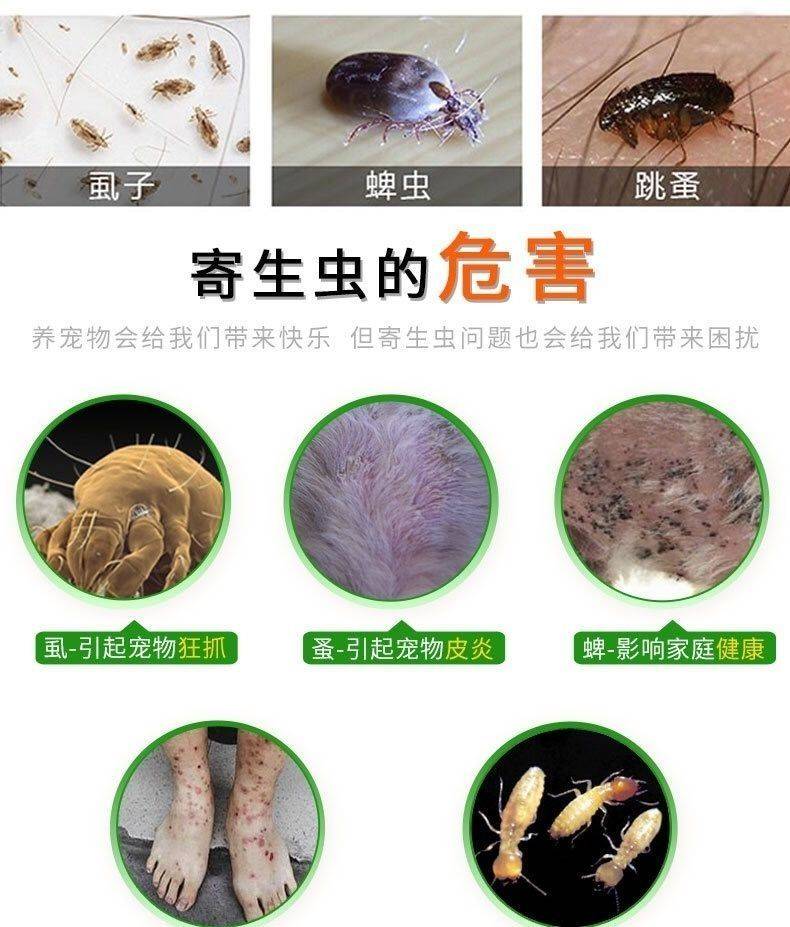 農(nóng)用消毒產(chǎn)品 水泊山鷹滅蚤靈家用寵物貓狗除虱子跳蚤外用噴霧