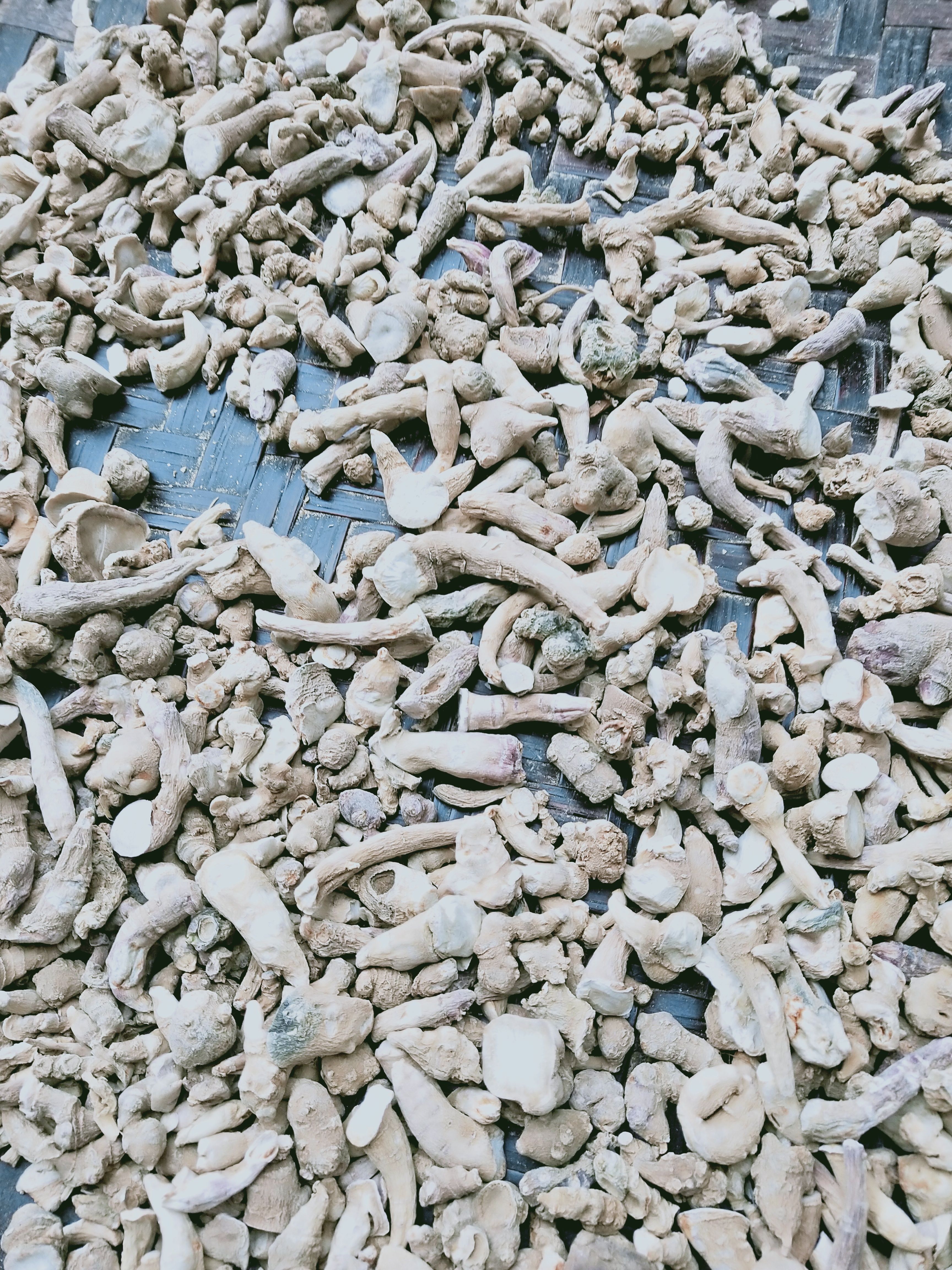 火麻七  三七 云
南省保山市龙陵县