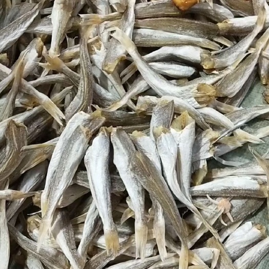 北海新鲜淡干的沙丁鱼干，(又称六甲头)，去头去内脏