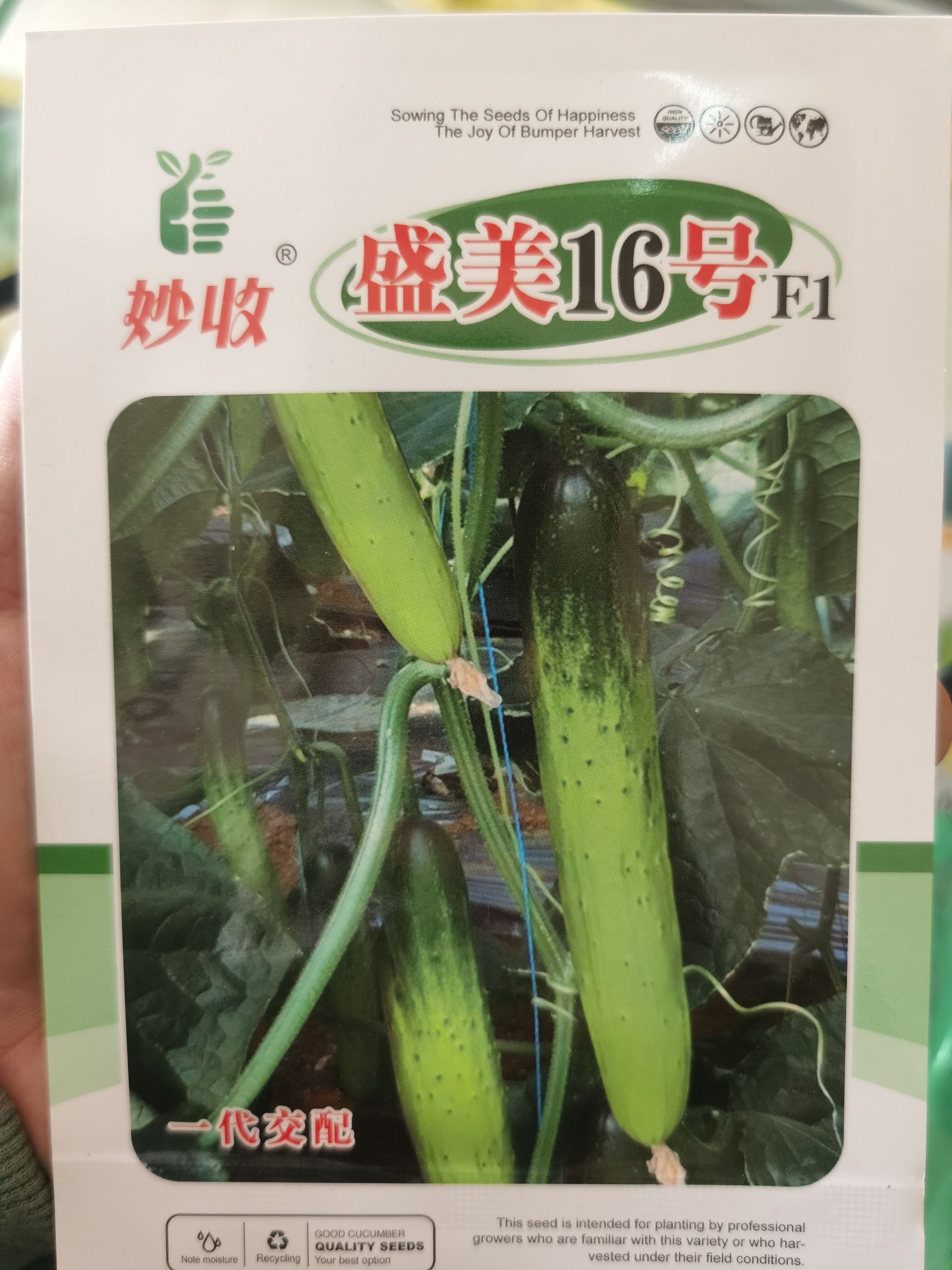 南靖县水果黄瓜种子 盛美16号/盛美10号，适合露天，大棚种植。