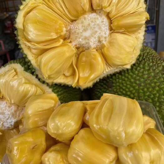 乐东县 菠萝蜜