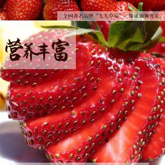 顺平县红颜草莓 河北顺平特产草莓又大又甜 红颜九九礼品草莓
