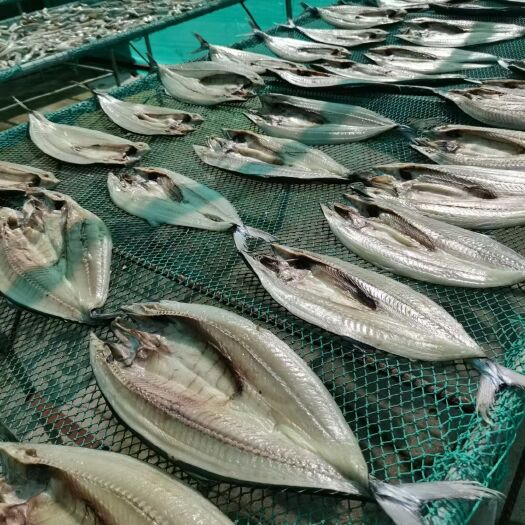 海口 鲅鱼干