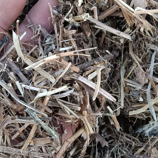 延津县花生秧 牛 羊 马 兔 