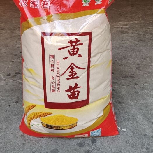 中牟县黄小米