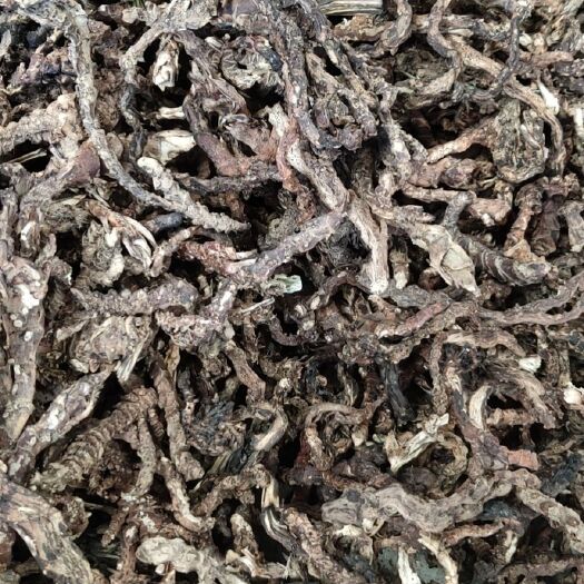 玉林中药材菖蒲 石菖蒲  3斤起包邮    量大从优