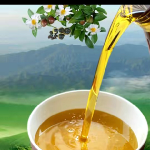 永丰县江西正宗野生山茶油
