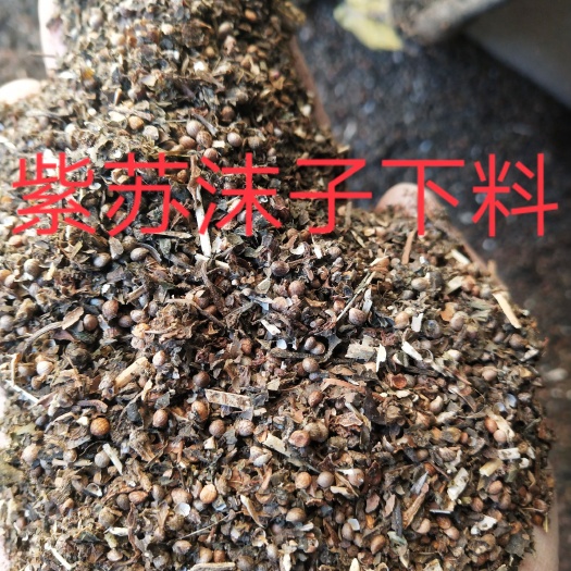 紫苏梗 紫苏子下料 紫苏沫子 苏子沫