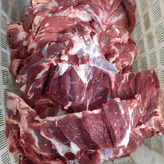 定州市羊肉类 带皮去皮分割羊肉