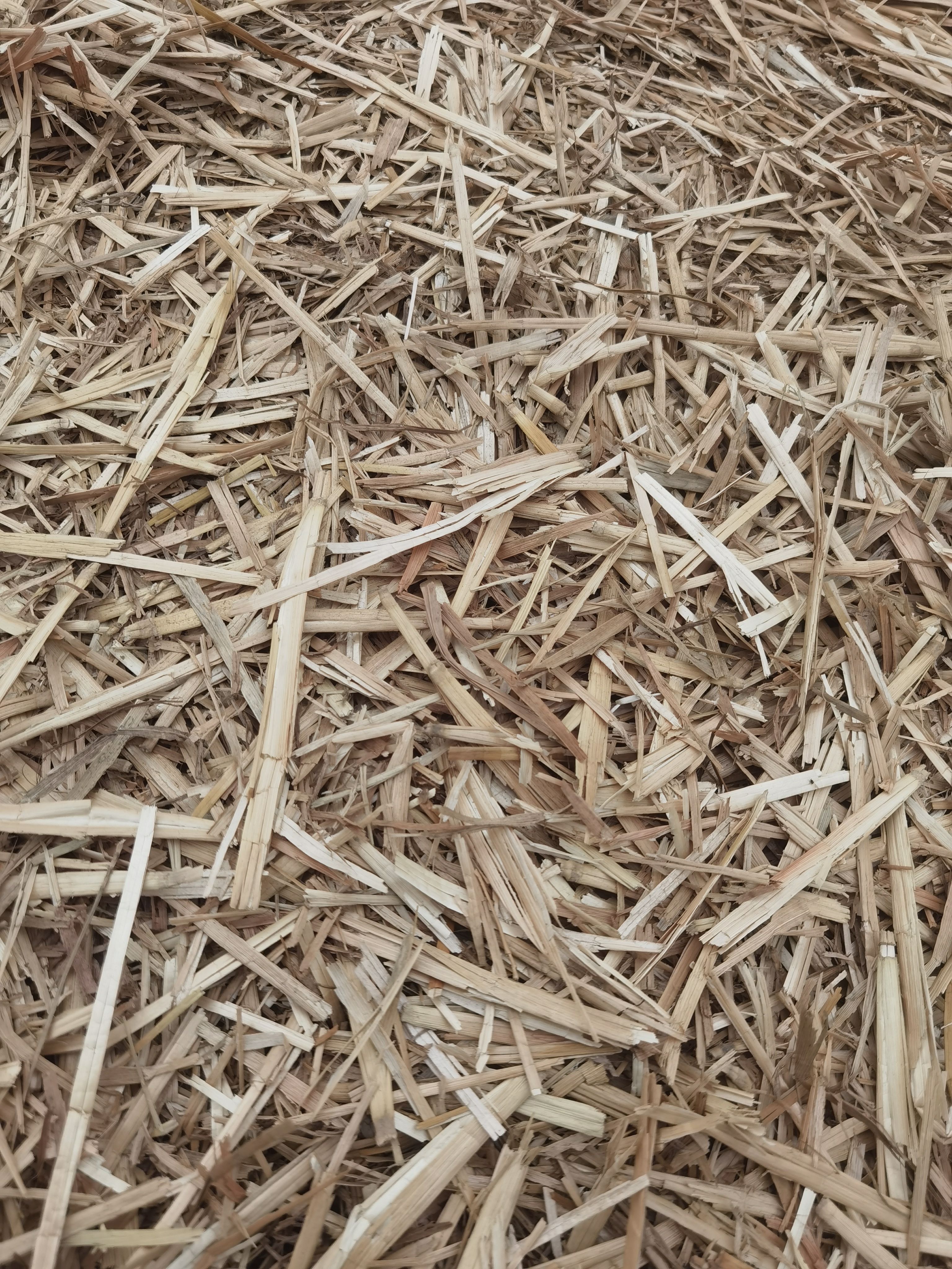 干草 柔丝过筛小麦秸秆