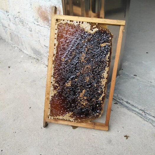廉江市土蜂蜜 正宗蜂蜜。零售价。今天下单，明天发。老板下单地址。