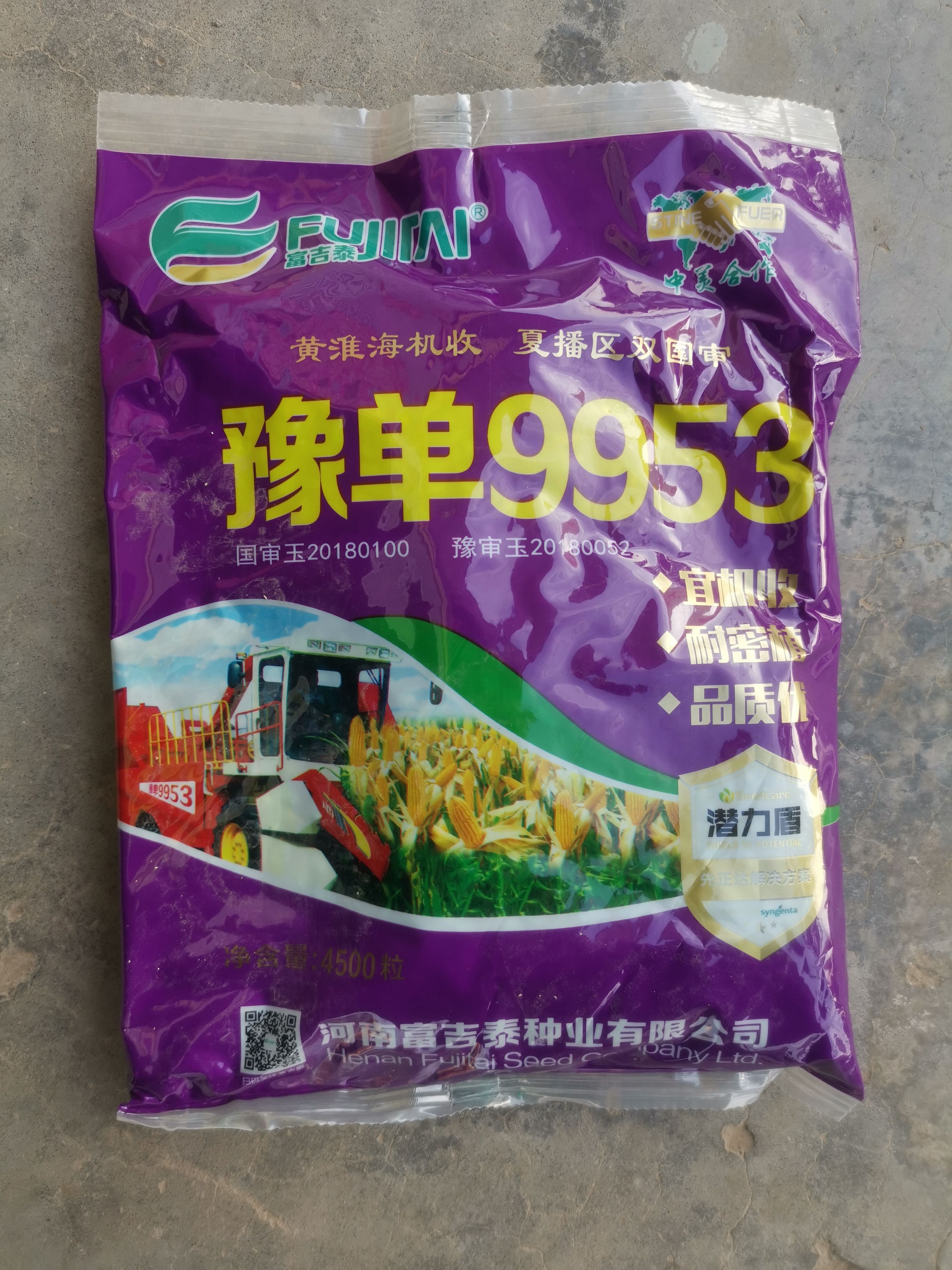 唐山豫单919玉米种子豫单9953新型大豆玉米间作技术的再创新高