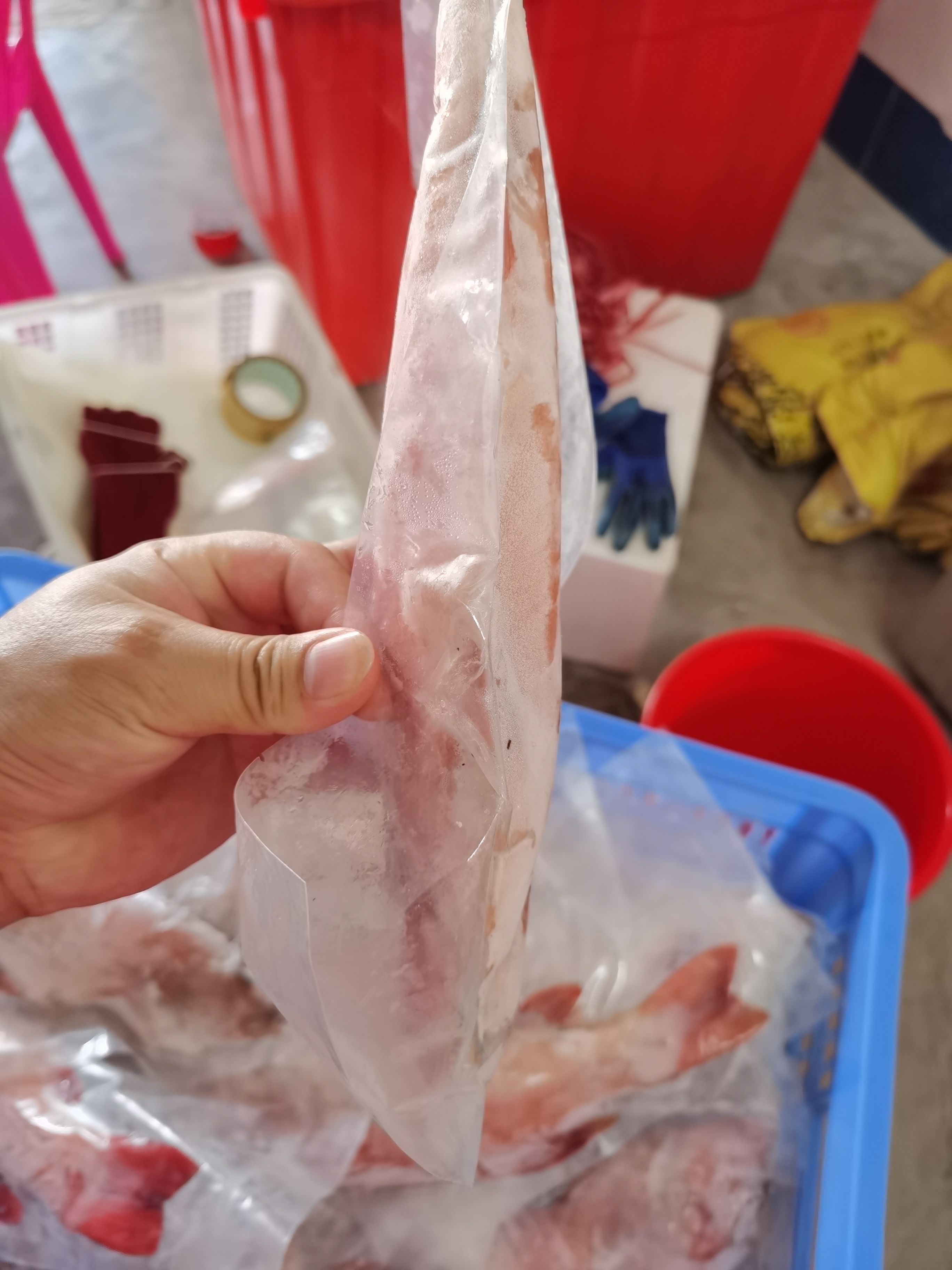 三去东星斑批发 海南东星斑供应商家