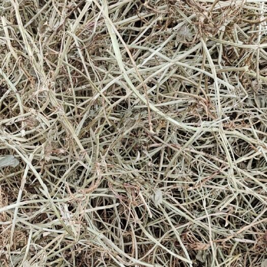 唐河县 花生秧草料无土无膜无霉