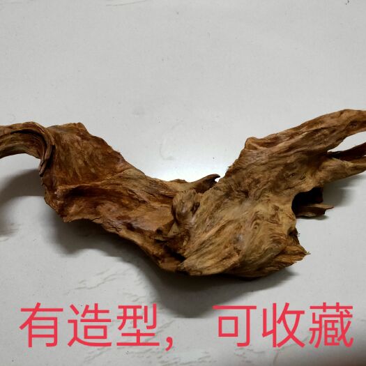 百色木材   千年土沉香一一未被发掘的广西神木