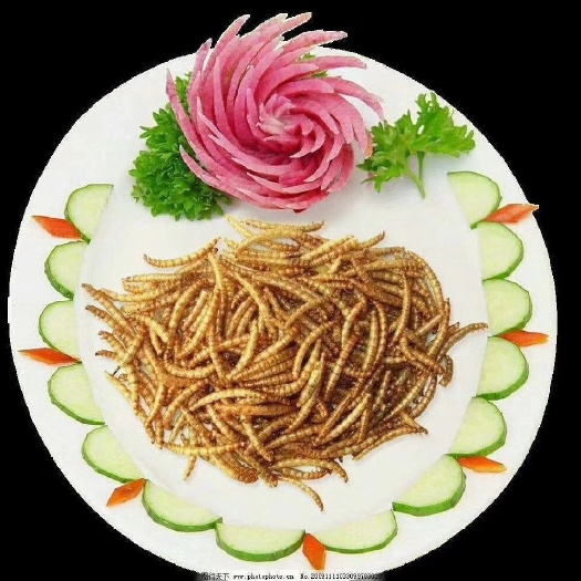 伊川县 黄粉虫干
