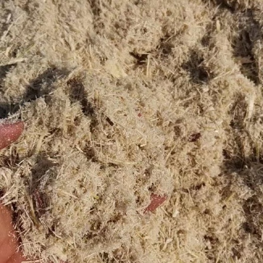 勐海县玉米渣 甘蔗渣，大型糖厂的一手货源，水分45，没有发霉的，都