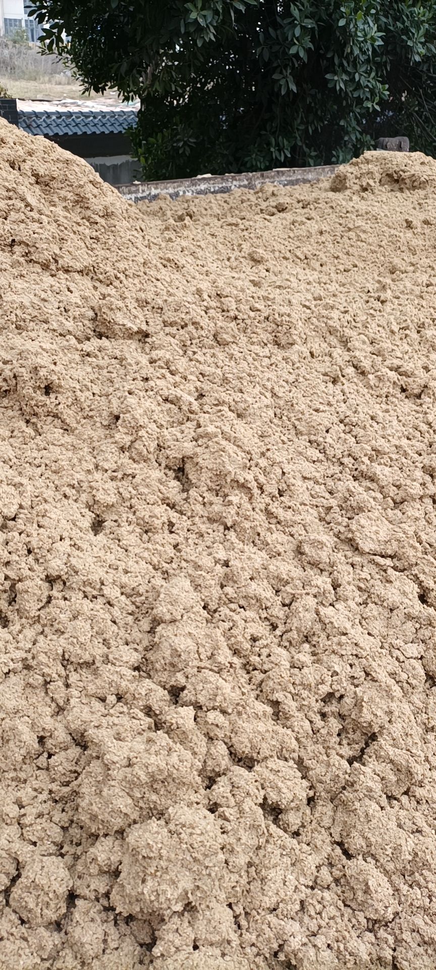 酒糟  啤酒渣大量出售！营养丰富、价格优惠，欢迎订购！