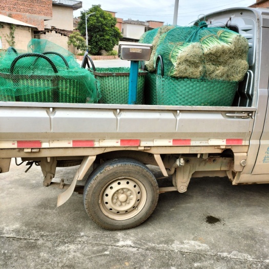 南宁 香葱便宜卖了有须要老板联系我