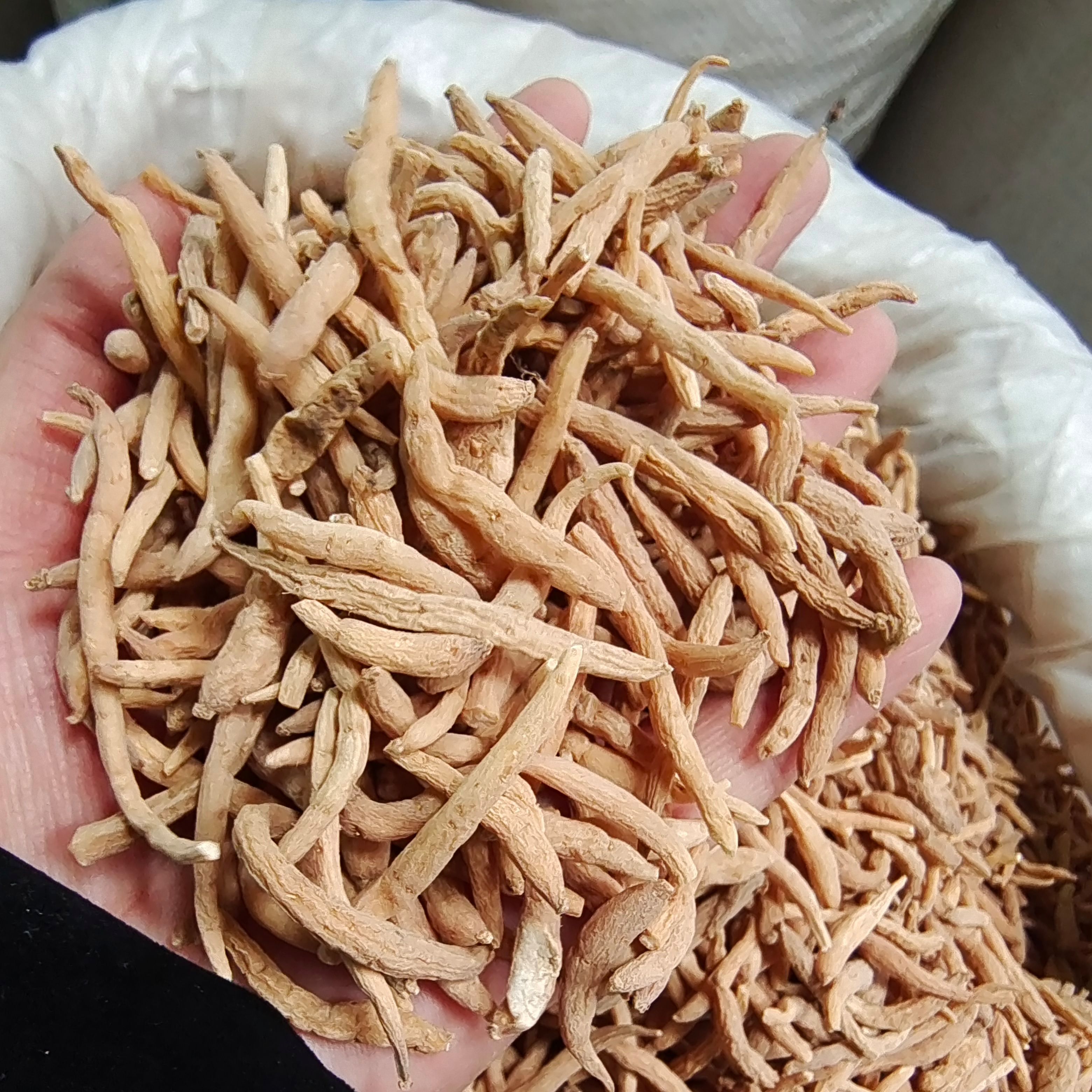 批发中药材太子参孩儿参 新货各种规格齐全量大从优不包邮