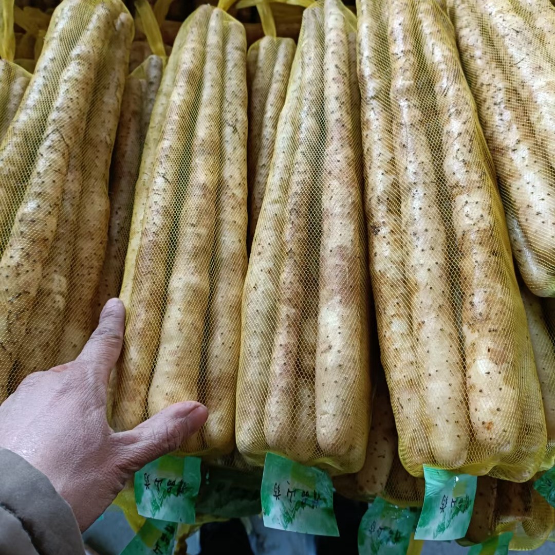 小白嘴山药，铁棍山药，产地直供，一手货源，量大质优。欢迎选购