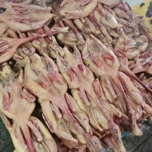 杭州腌鸭 咸鸭盐腌土老鸭土白鸭一只包邮