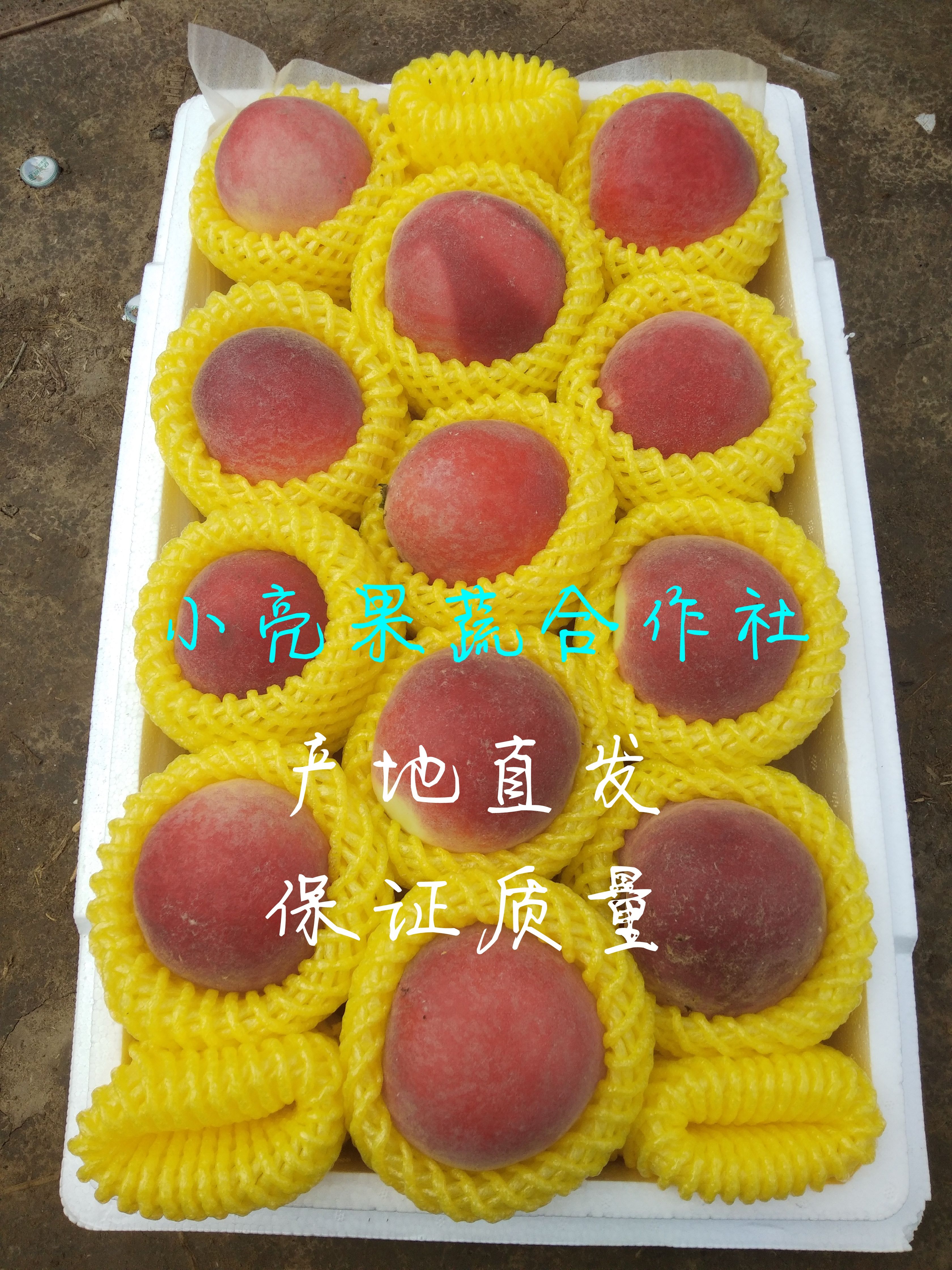 突围桃  精品水蜜桃红梅，突围大量上市产地直发