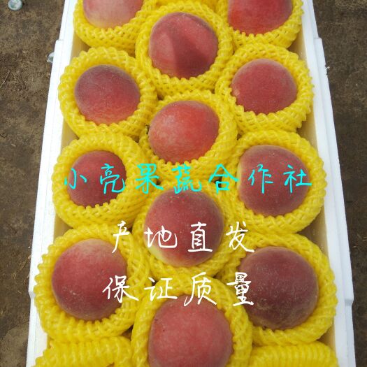 乐亭县突围桃  精品水蜜桃红梅，突围大量上市产地直发