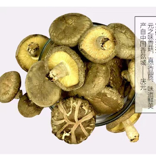 光面菇 庆元香菇厚菇带脚农家自产干货新鲜冬菇
