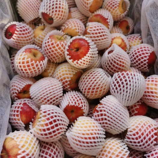 林西县金红123 内蒙古自治区赤峰市林西县 膜袋 