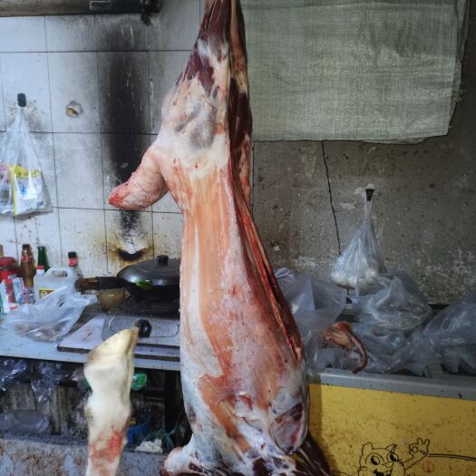 阿旗羊肉类 内蒙古特产，黑头绵阳羊腔子，纯放山羊