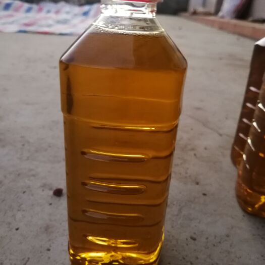 郁南县山茶油 压榨法 